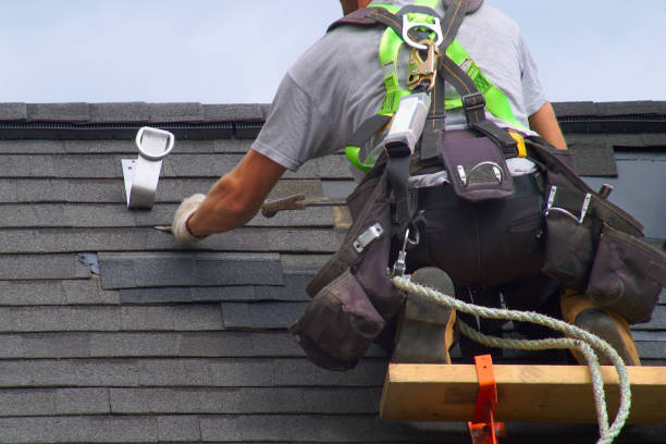 Best Roof Gutter Cleaning  in Williston, FL