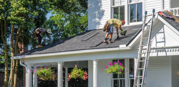 Best Gutter Installation and Roofing  in Williston, FL